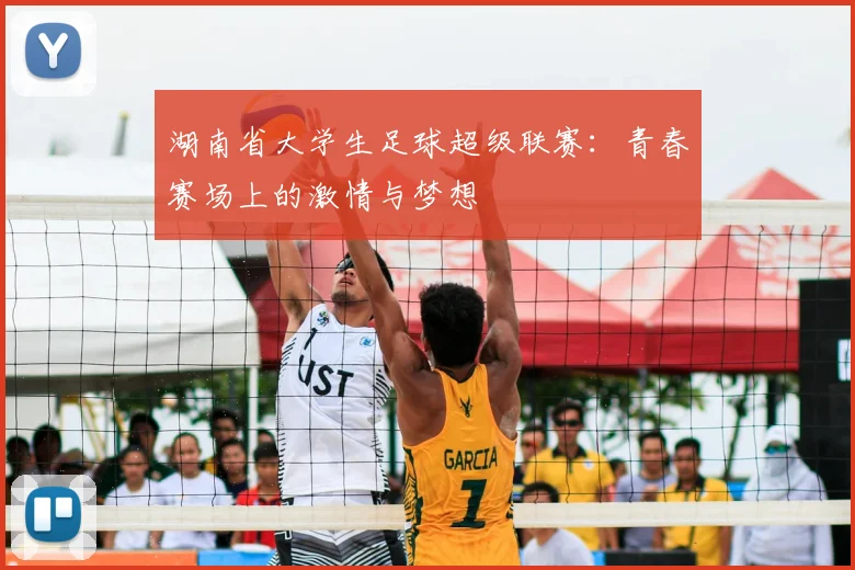 湖南省大学生足球超级联赛：青春赛场上的激情与梦想